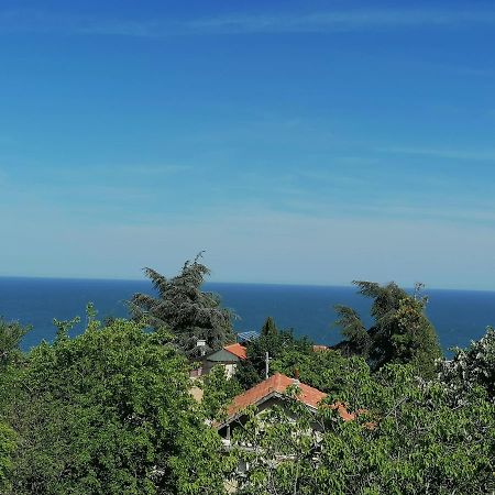 Villa Steffi Aranyhomok Kültér fotó