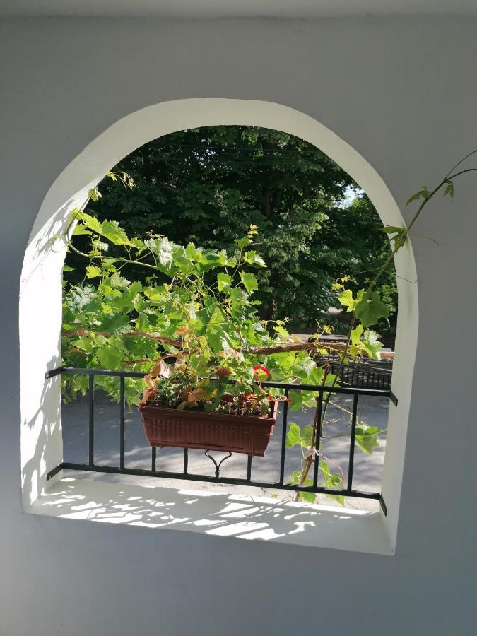 Villa Steffi Aranyhomok Kültér fotó