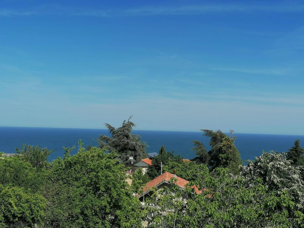Villa Steffi Aranyhomok Kültér fotó