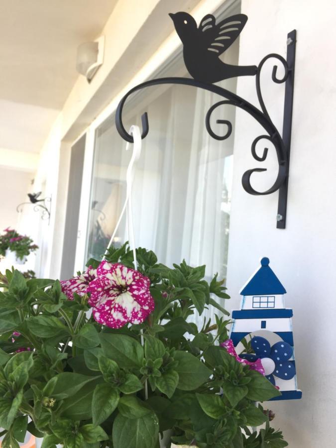 Villa Steffi Aranyhomok Kültér fotó